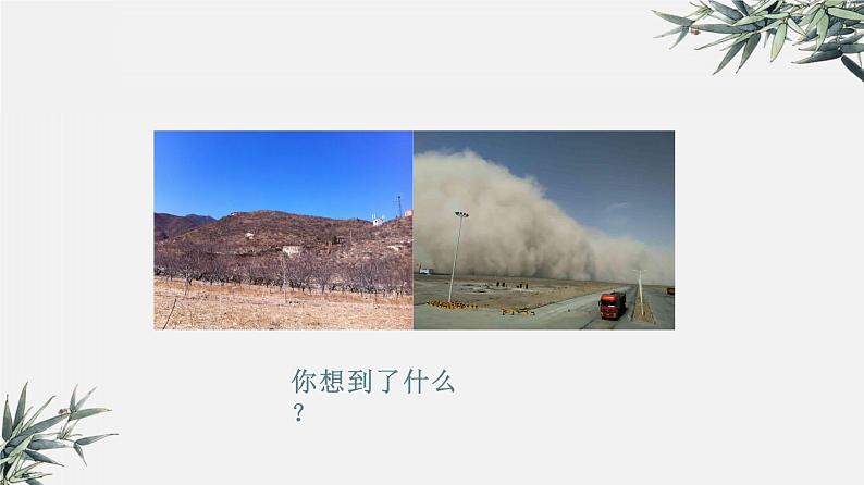 冀少版生物八年级下册 7.3.4保护生态环境 课件05