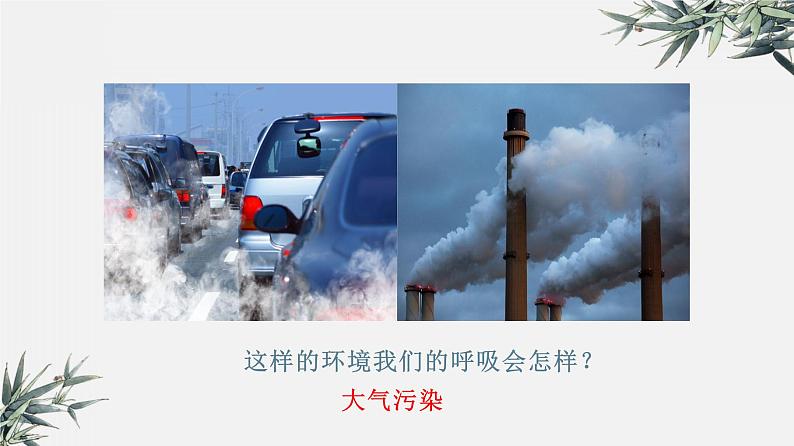 冀少版生物八年级下册 7.3.4保护生态环境 课件07