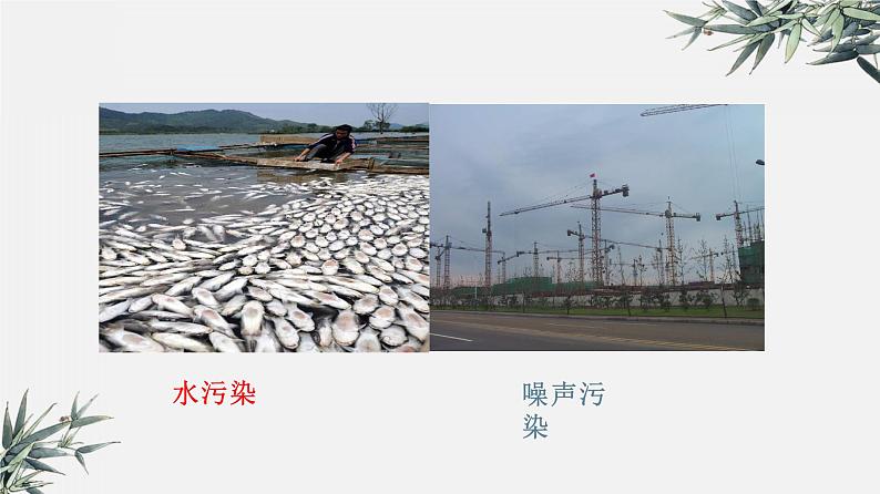 冀少版生物八年级下册 7.3.4保护生态环境 课件08