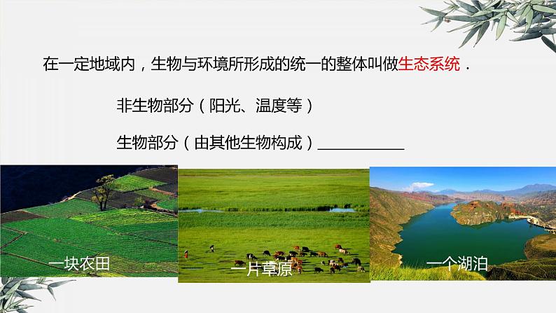 冀少版生物八年级下册:7.2.1 生态系统的组成和类型课件第3页