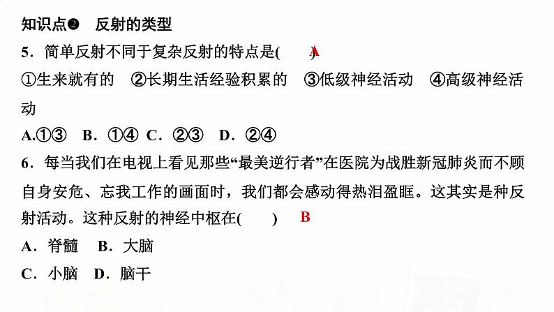 人教版七年级生物下册第三节神经调节的基本方式作业课件第5页