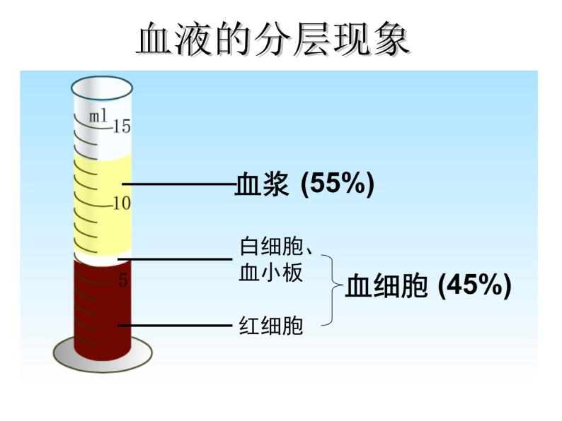 人教版七年级生物下册4-1流动的组织——血液(1)课件05