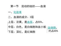 人教版 (新课标)七年级下册第一节 流动的组织──血液课堂教学ppt课件