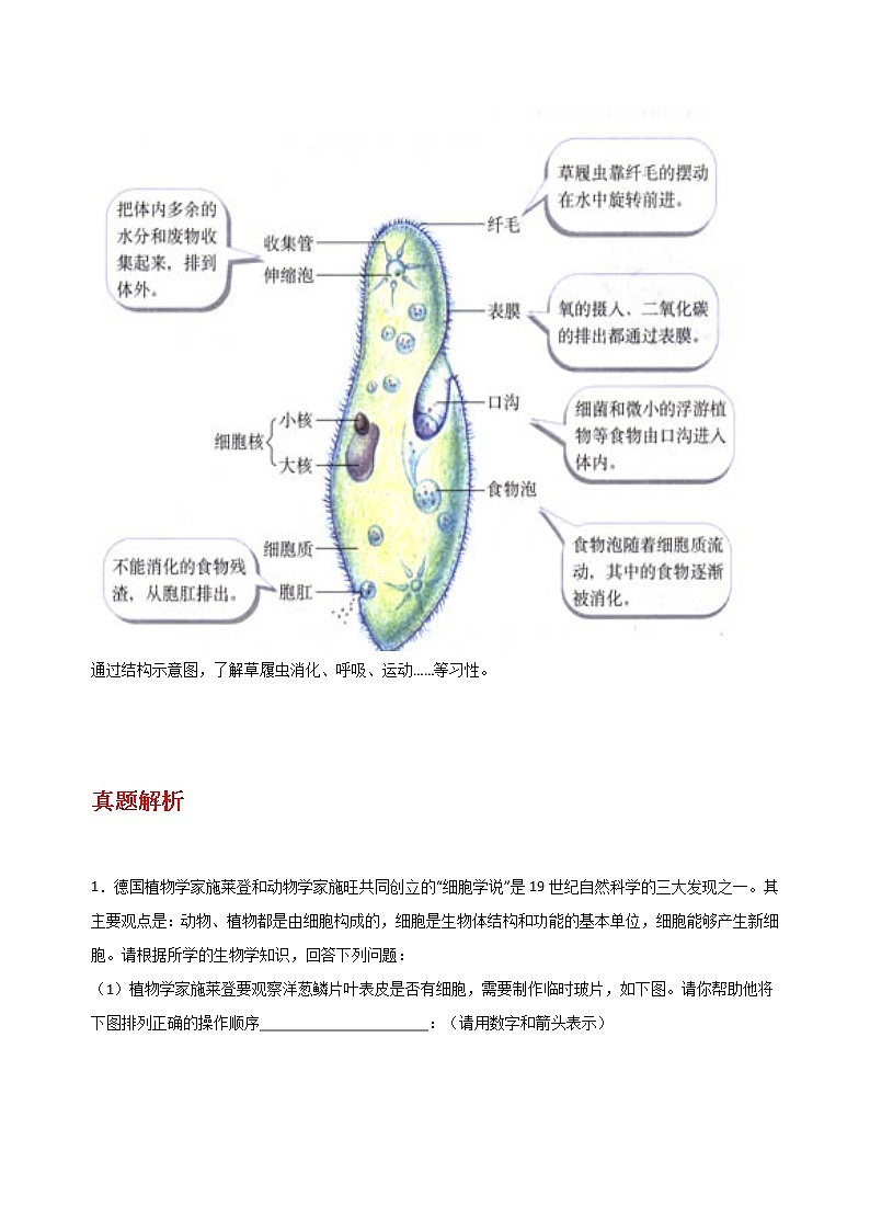 备战2023年新中考二轮生物专题导练 考点17 细胞怎样构成生物体03