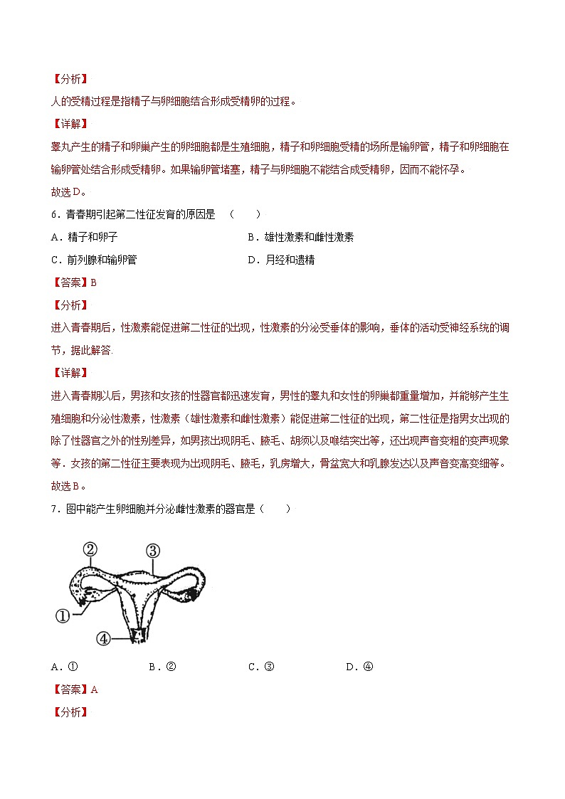 4.1.2 人的生殖(精编课件+练习)精编七年级生物下册同步备课系列(人教版)03