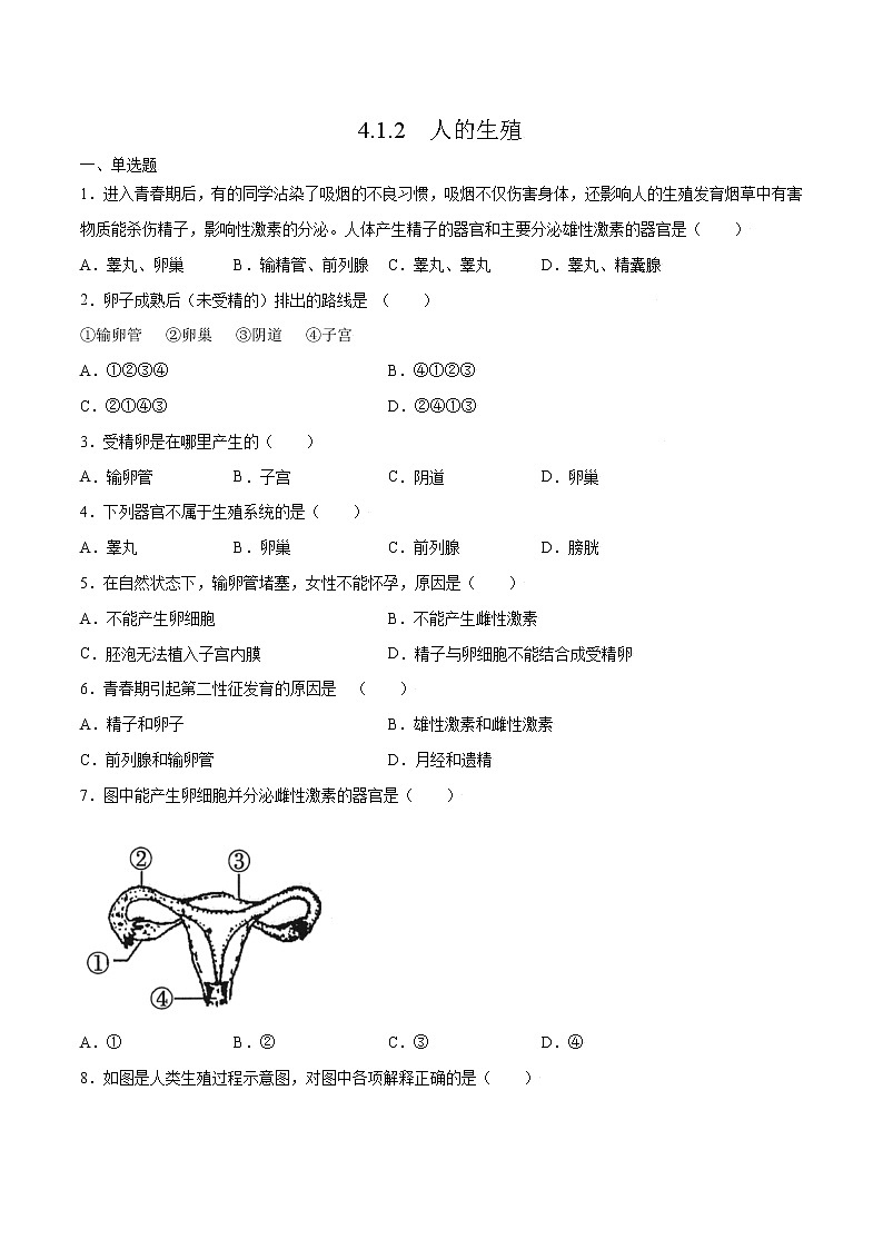 4.1.2 人的生殖(精编课件+练习)精编七年级生物下册同步备课系列(人教版)01