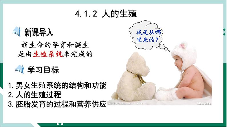4.1.2 人的生殖(精编课件+练习)精编七年级生物下册同步备课系列(人教版)01