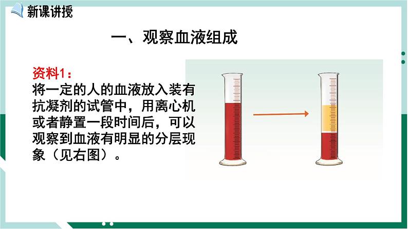 4.4.1 流动的组织—血液(精编课件+练习)精编七年级生物下册同步备课系列(人教版)02