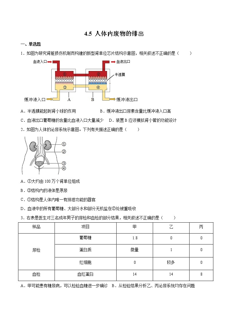 4.5 人体内废物的排出(精编课件+练习)精编七年级生物下册同步备课系列(人教版)01