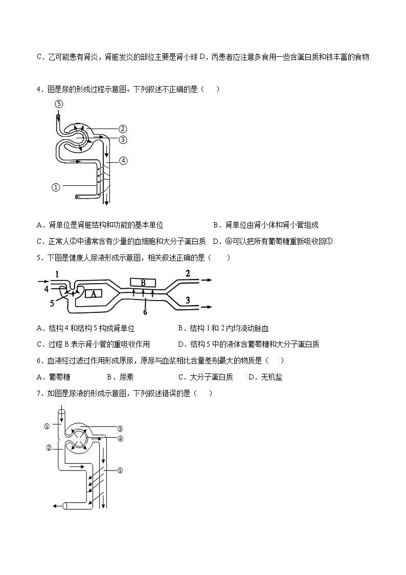 4.5 人体内废物的排出(精编课件+练习)精编七年级生物下册同步备课系列(人教版)02