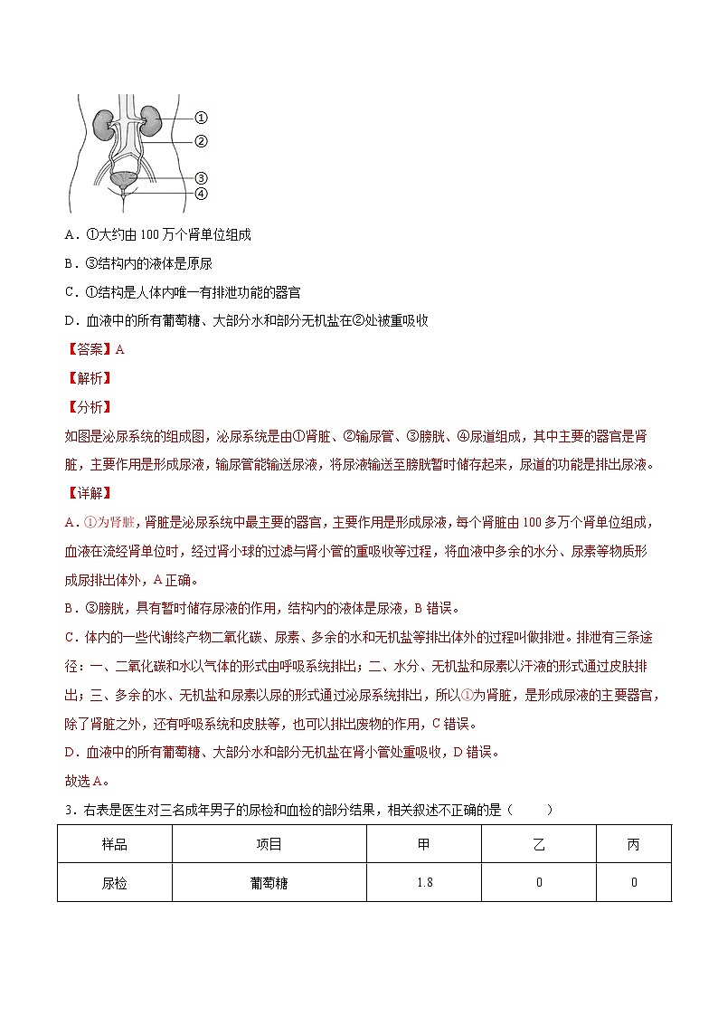 4.5 人体内废物的排出(精编课件+练习)精编七年级生物下册同步备课系列(人教版)02