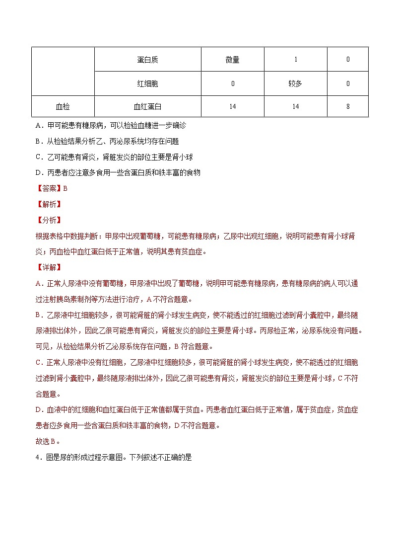 4.5 人体内废物的排出(精编课件+练习)精编七年级生物下册同步备课系列(人教版)03