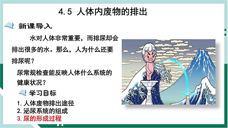 4.5 人体内废物的排出(精编课件+练习)精编七年级生物下册同步备课系列(人教版)01