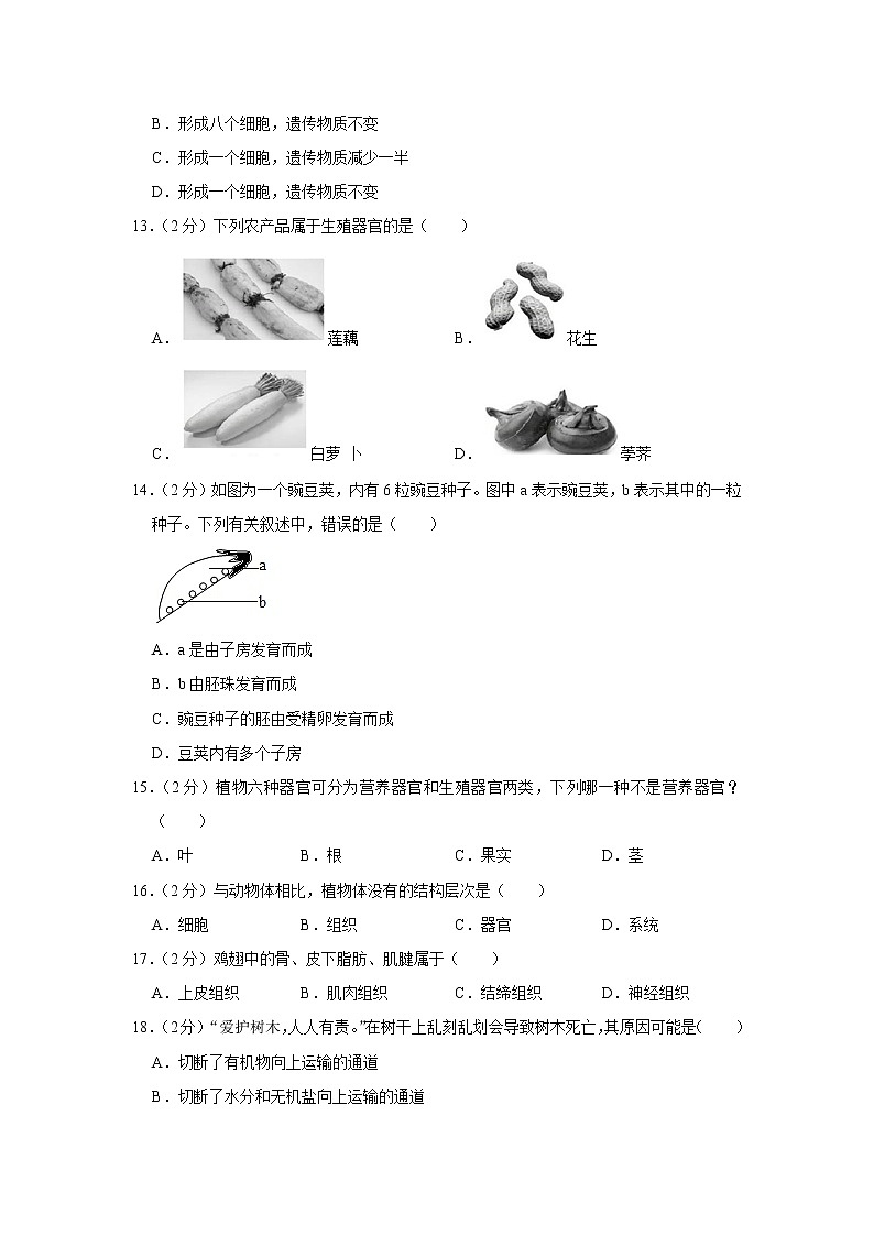 【开学闯关】2023年春北师大版生物七年级下册开学测试卷(二)(解析版)第3页