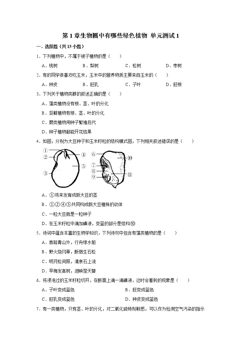 2023年春鲁科版（五四制）六下生物 第1章生物圈中有哪些绿色植物 单元测试101