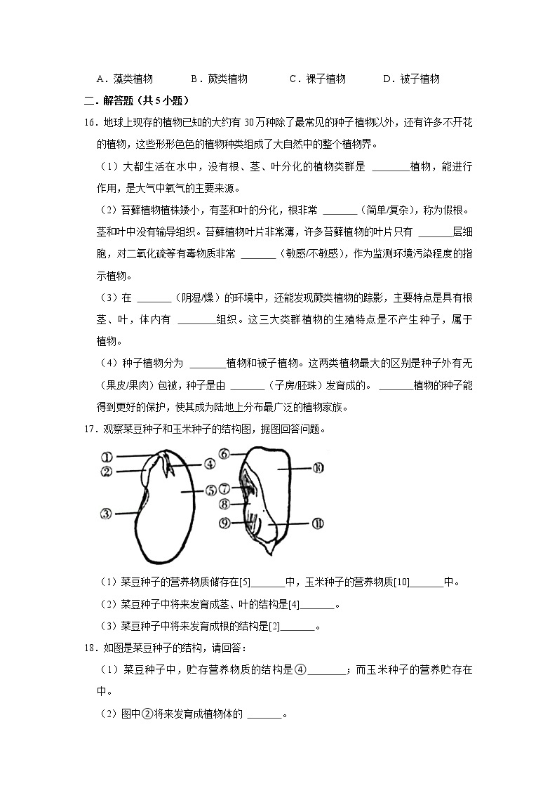 2023年春鲁科版（五四制）六下生物 第1章生物圈中有哪些绿色植物 单元测试103