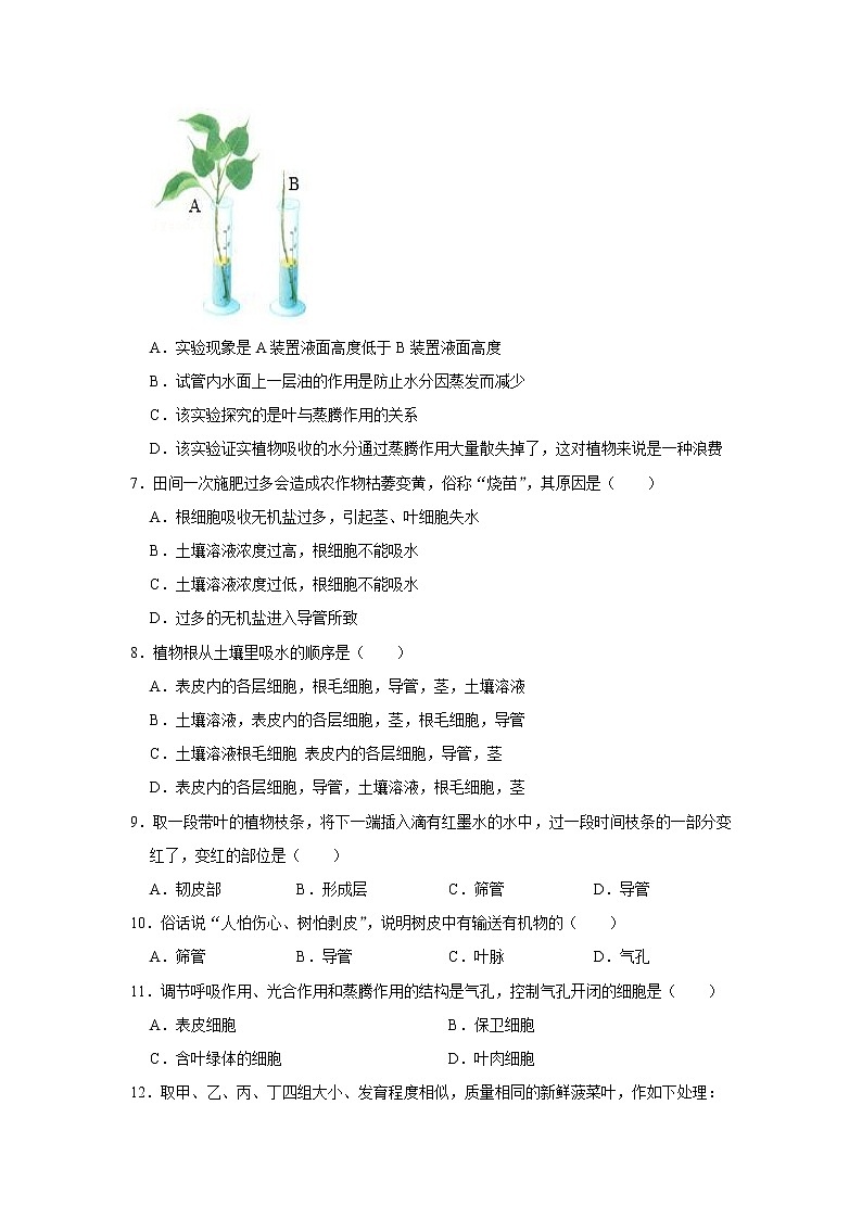 2022年春鲁科版(五四制)六下生物 第3章绿色植物与生物圈的水循环 单元测试1(解析版)第2页