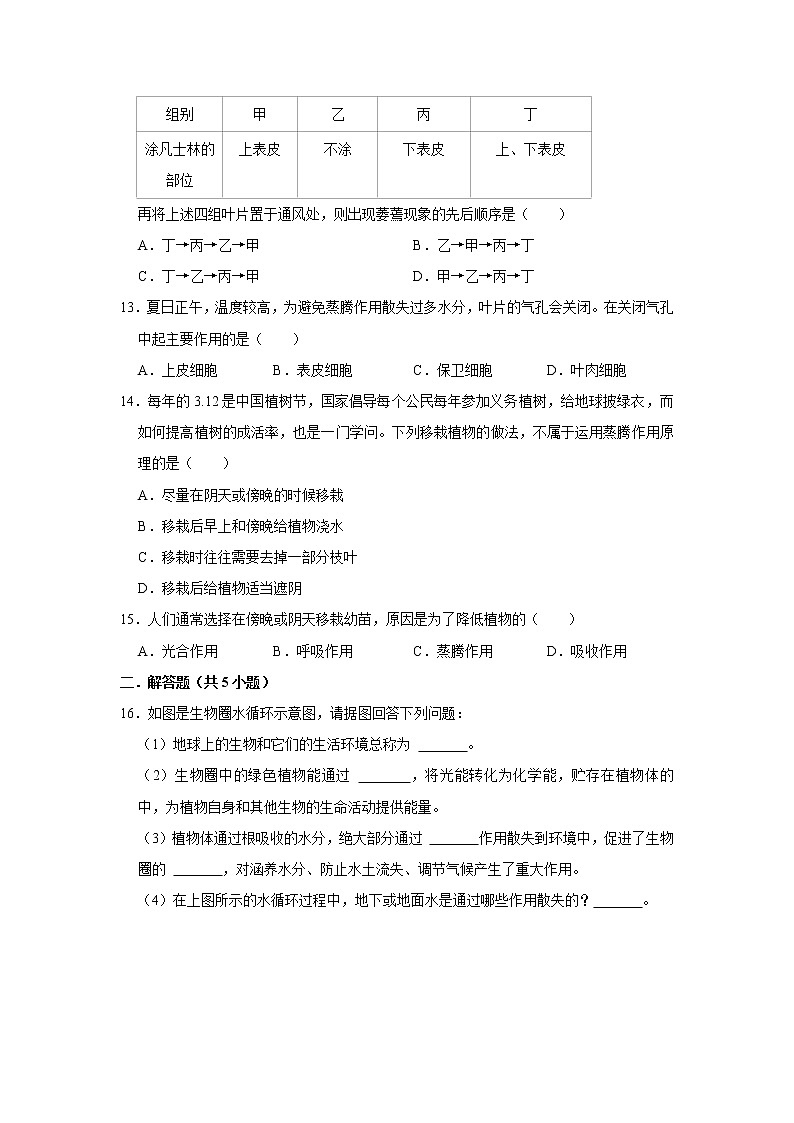 2022年春鲁科版(五四制)六下生物 第3章绿色植物与生物圈的水循环 单元测试1(原卷版)第3页