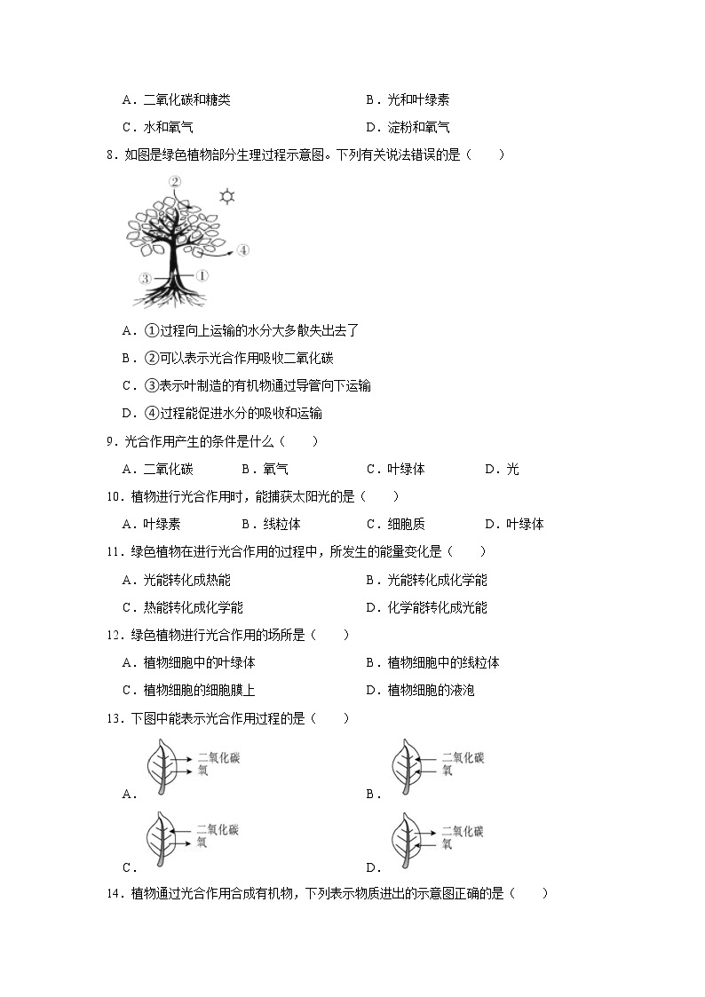 2023年春鲁科版（五四制）六下生物 第4章绿色植物是生物圈中有机物的制造者 单元测试102