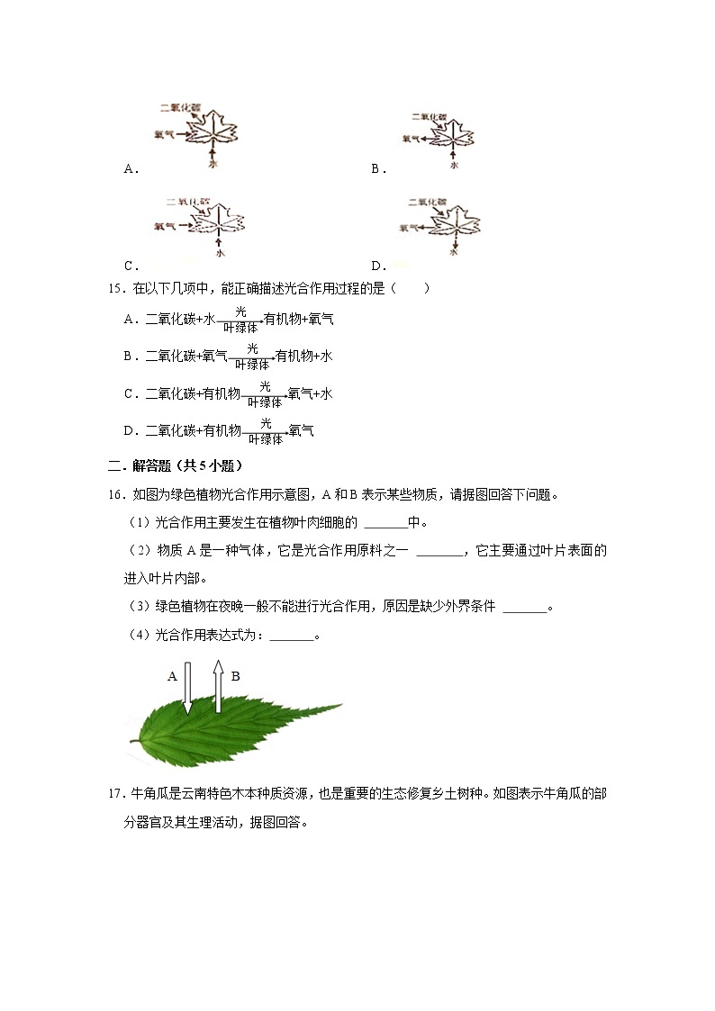 2023年春鲁科版（五四制）六下生物 第4章绿色植物是生物圈中有机物的制造者 单元测试103