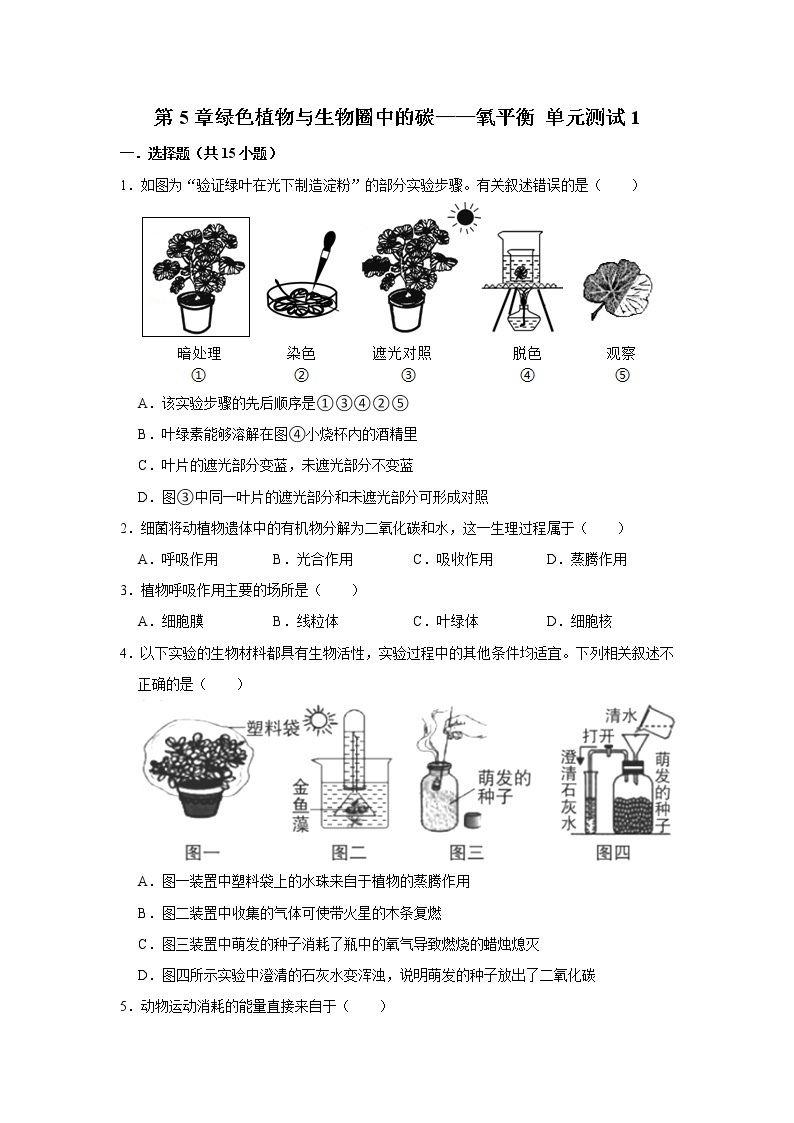 2023年春鲁科版（五四制）六下生物 第5章绿色植物与生物圈中的碳——氧平衡 单元测试101