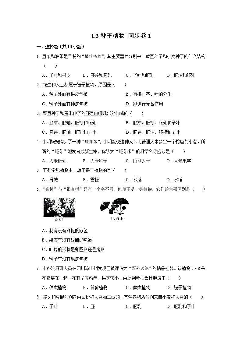 2023年春鲁科版(五四制)六年级下册生物 1.3种子植物 同步卷1第1页
