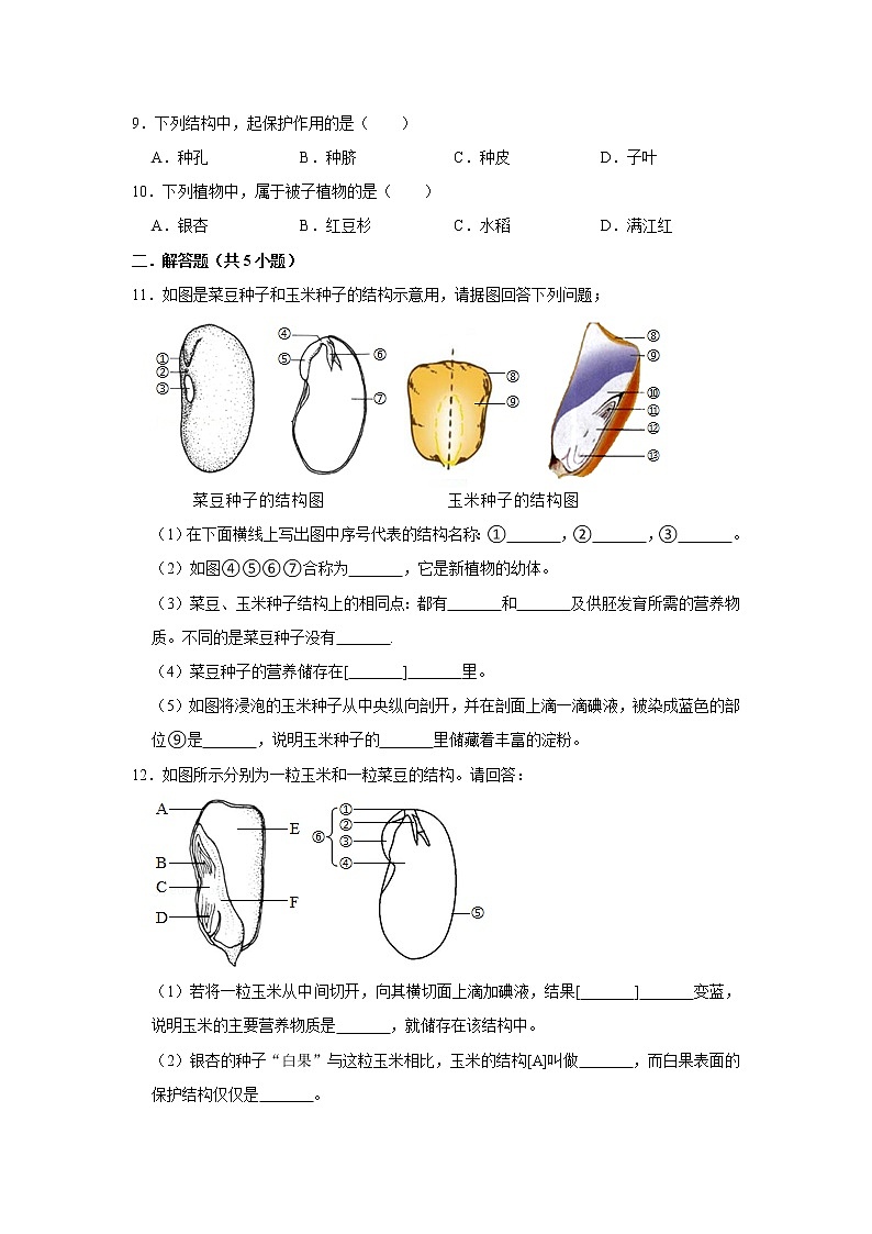 2023年春鲁科版(五四制)六年级下册生物 1.3种子植物 同步卷1第2页