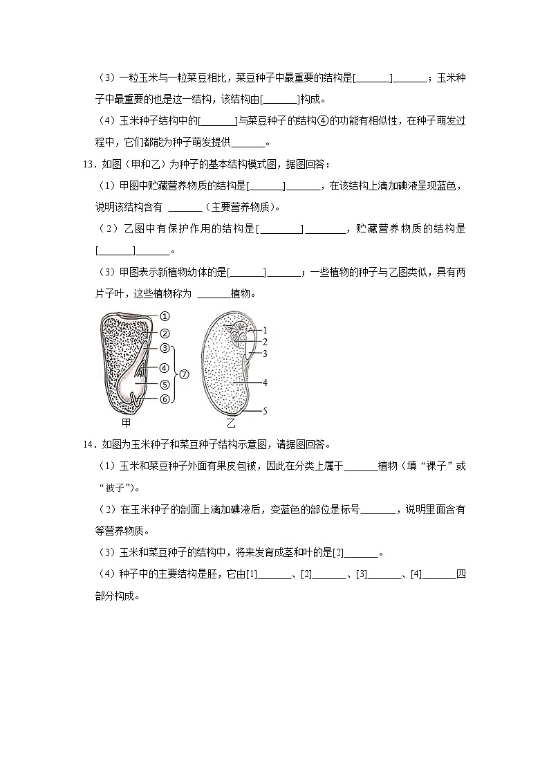2023年春鲁科版(五四制)六年级下册生物 1.3种子植物 同步卷1第3页