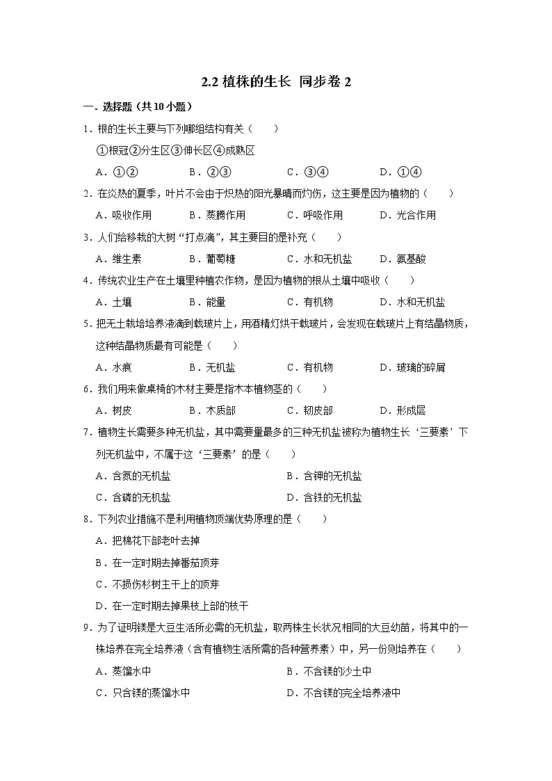 2023年春鲁科版(五四制)六年级下册生物 2.2植株的生长 同步卷201