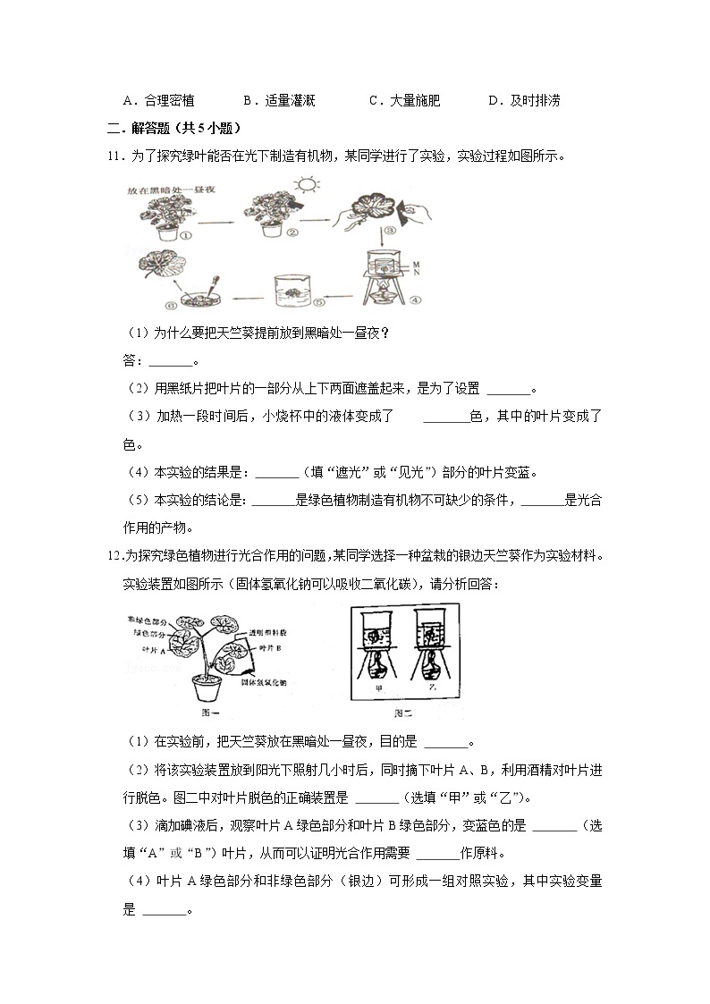 2023年春鲁科版（五四制）六年级下册生物 5.1光合作用吸收二氧化碳释放氧气 同步卷103