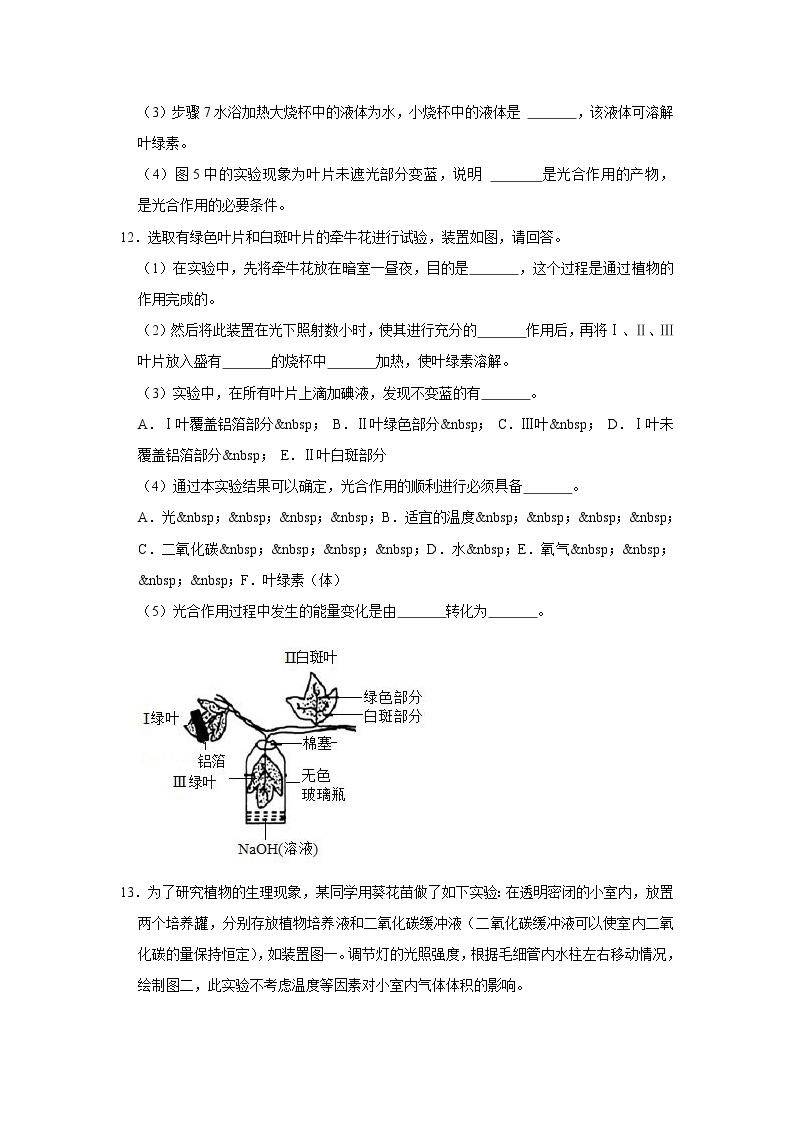 2023年春鲁科版（五四制）六年级下册生物 5.1光合作用吸收二氧化碳释放氧气 同步卷203