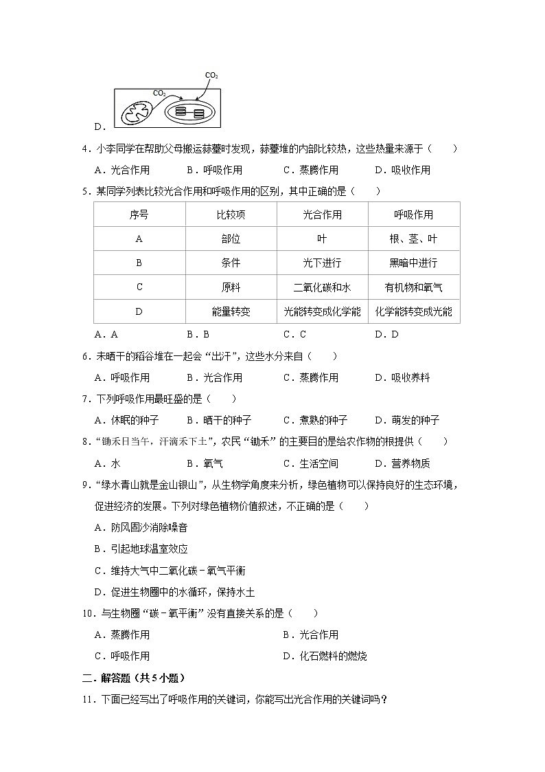 2023年春鲁科版(五四制)六年级下册生物 5.2呼吸作用消耗氧气释放二氧化碳 同步卷202