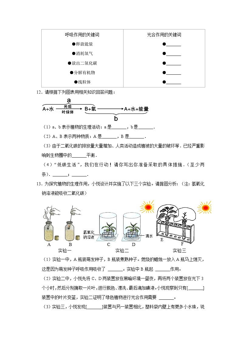 2023年春鲁科版(五四制)六年级下册生物 5.2呼吸作用消耗氧气释放二氧化碳 同步卷203