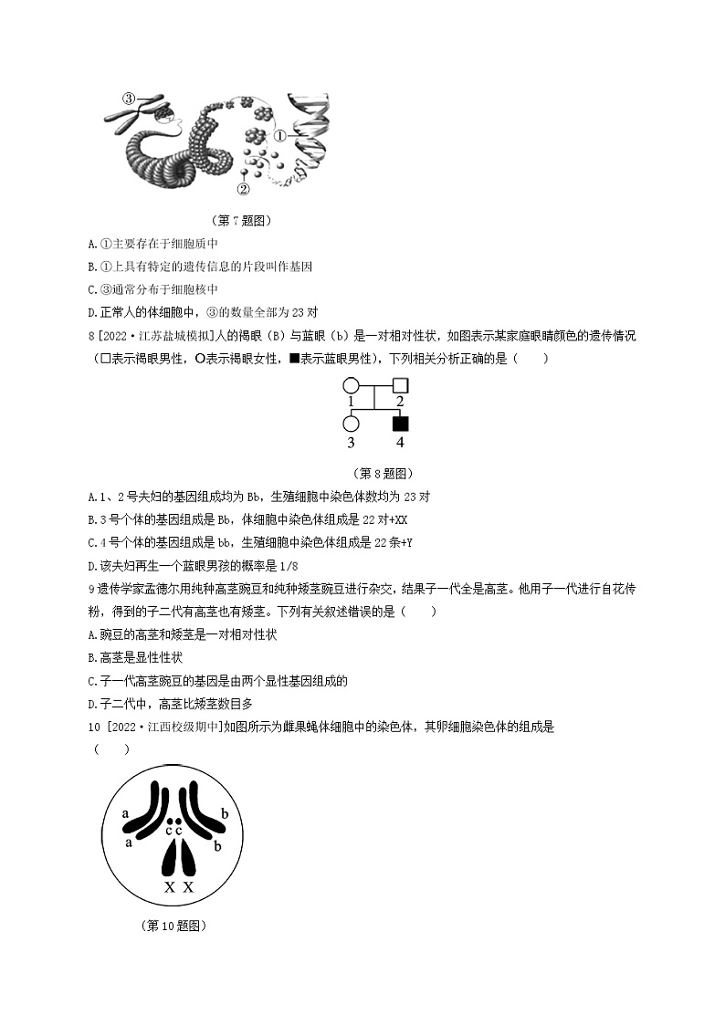 人教版生物八年级下册第七单元第二章测试卷(含答案)第2页