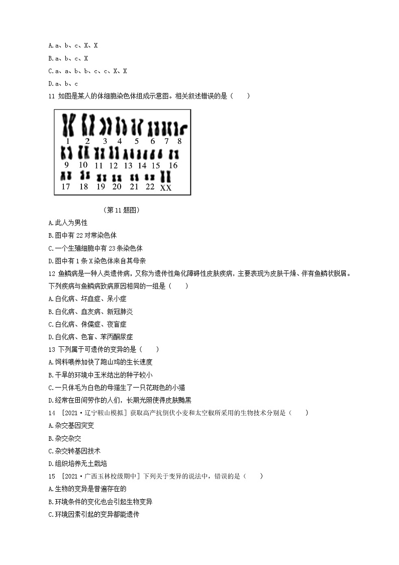人教版生物八年级下册第七单元第二章测试卷(含答案)第3页