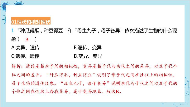 人教版生物八年级下册专题3 性状与遗传规律(课件PPT)02