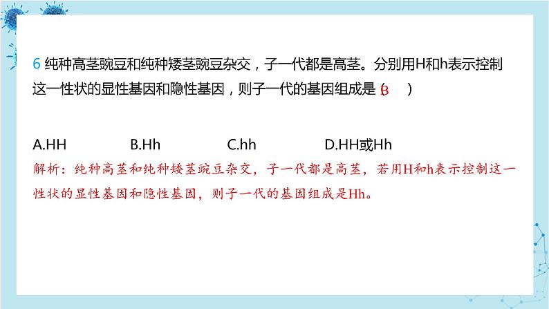 人教版生物八年级下册专题3 性状与遗传规律(课件PPT)08