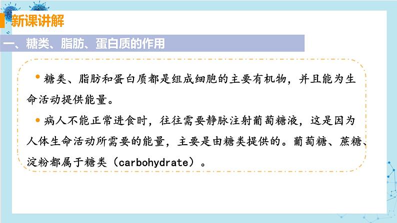 2.1《食物中的营养物质》课件+教案+导学案+练习04