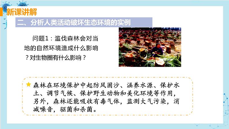 第一节 分析人类活动对生态环境的影响第8页