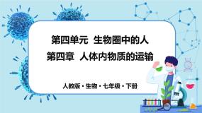 人教版生物七年级下册第四章专题课件+单元测试（含答案）