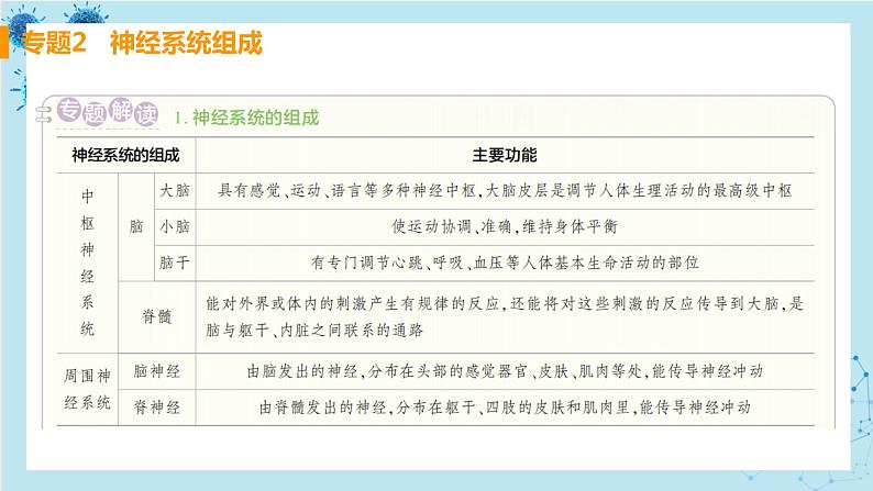 第四单元 第六章 人体生命活动的调节第5页