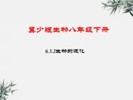 冀少版生物八年级下册：6.3.2 生物的进化 课件