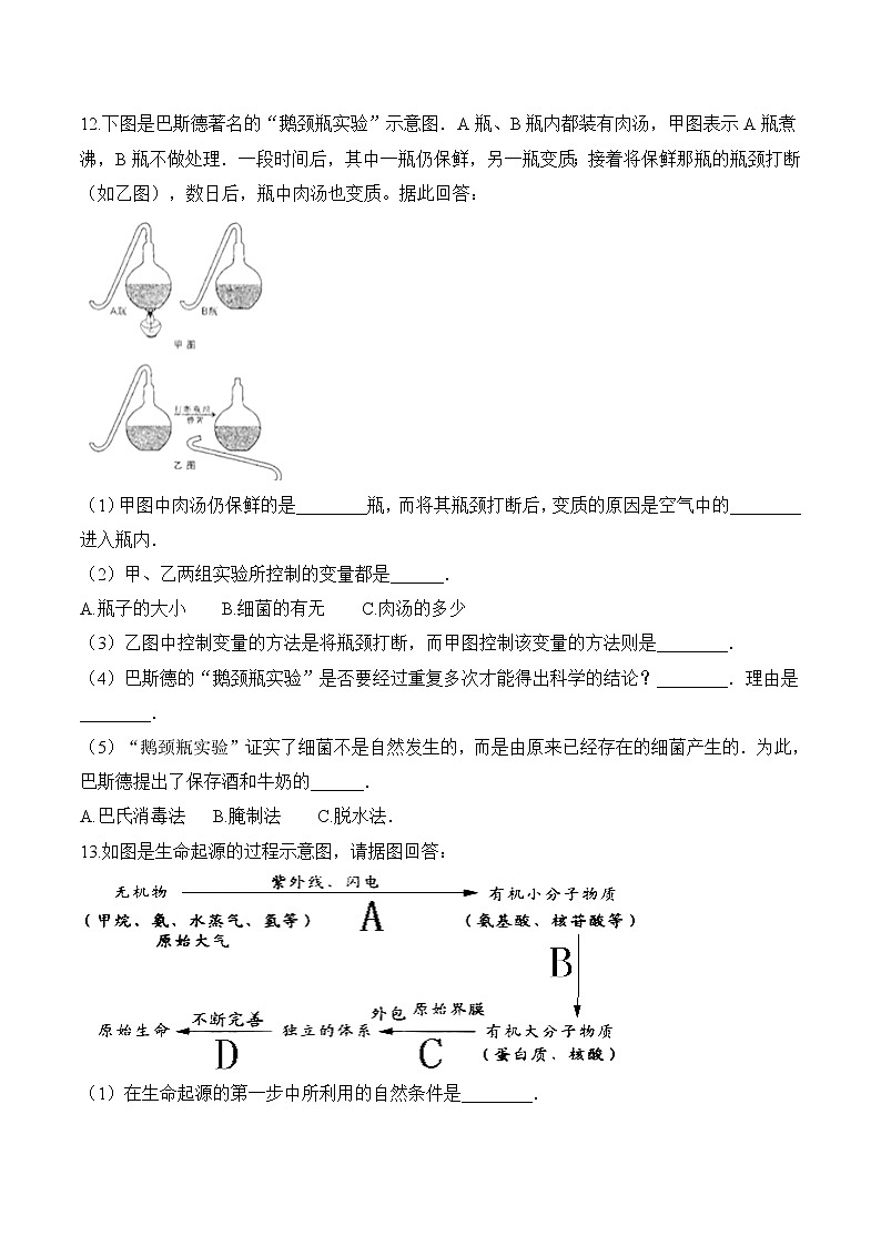北师大版生物八年级下册 7.21.1 生命的起源 课件+学案(含答案)+习题(含解析)03