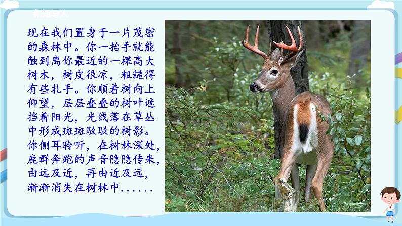 北师大版生物八年级下册 8.23.2 生态系统概述 课件+学案(含答案)+习题(含解析)03