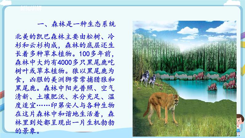 北师大版生物八年级下册 8.23.2 生态系统概述 课件+学案(含答案)+习题(含解析)04