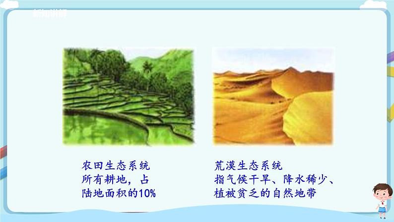 北师大版生物八年级下册 8.23.2 生态系统概述 课件+学案(含答案)+习题(含解析)07