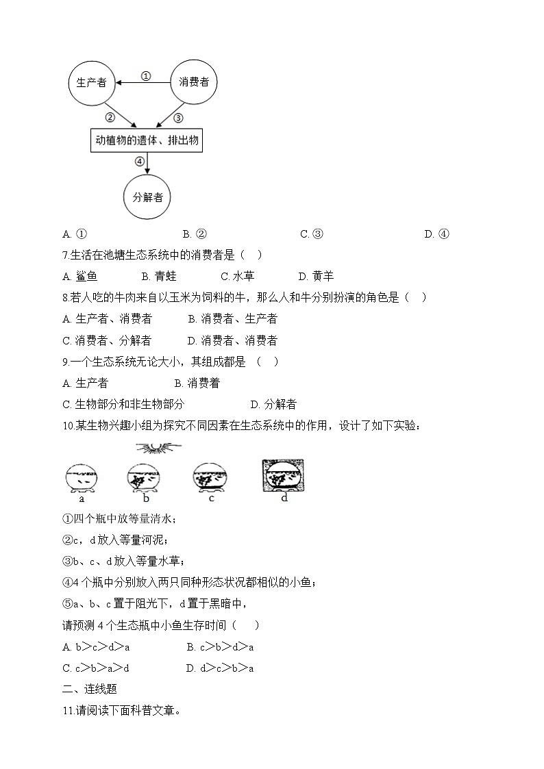 北师大版生物八年级下册 8.23.2 生态系统概述 课件+学案(含答案)+习题(含解析)02