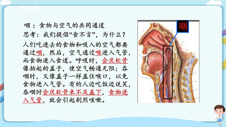 济南版生物七年级下册 3.2.1 人体与外界的气体交换 课件+学案(含答案)+练习(含解析)06