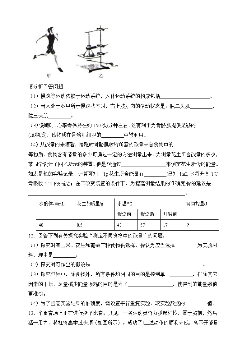 济南版生物七年级下册   3.2.2 人体内能量的利用 课件)+学案（含答案）+练习（含解析）03