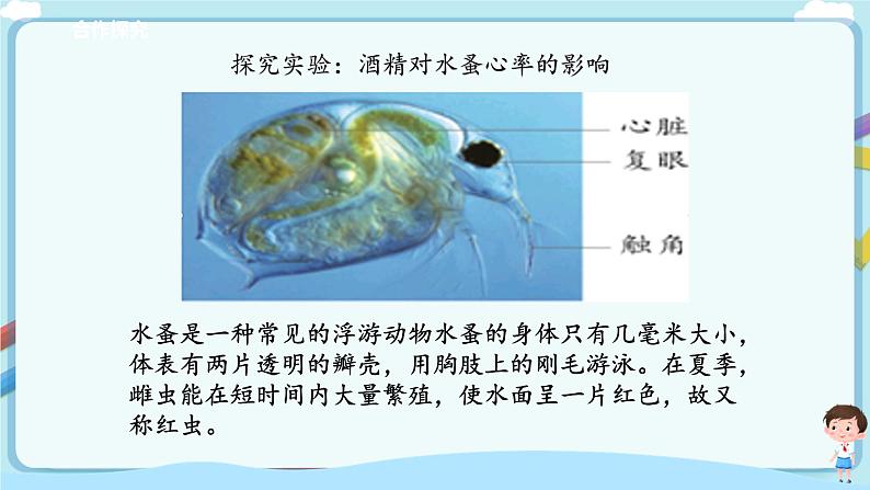济南版生物七年级下册 3.3.4 关注心血管健康(课件)第6页